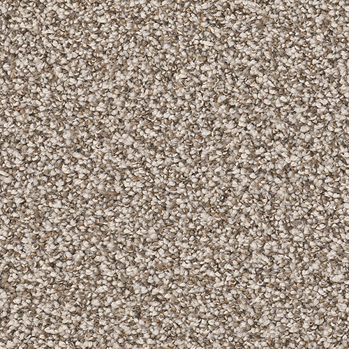Dream Weaver Carpet