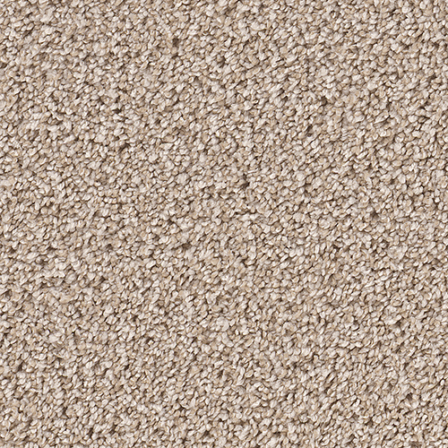 Dream Weaver Carpet