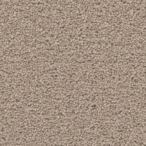 Dream Weaver Carpet