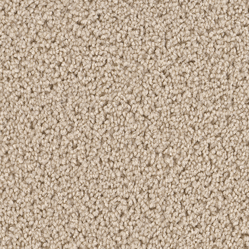Dream Weaver Carpet