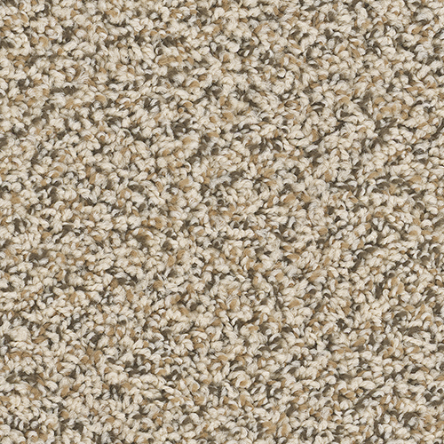 Dream Weaver Carpet