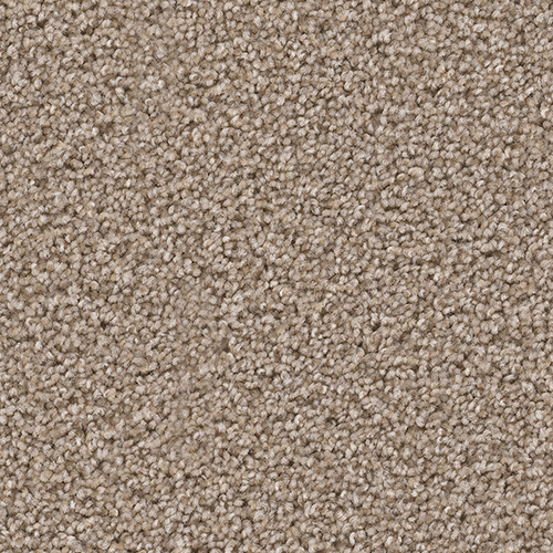 Dream Weaver Carpet