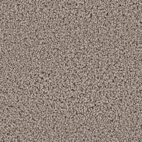 Dream Weaver Carpet