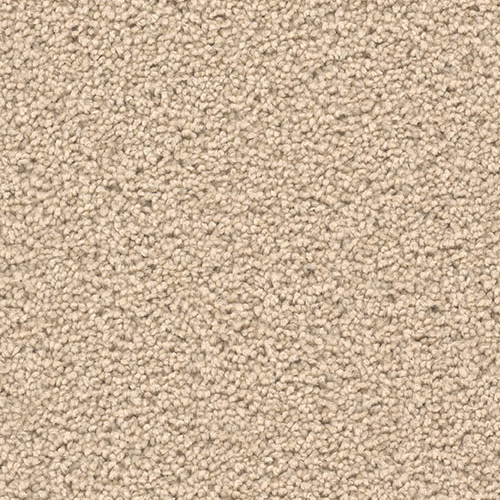 Dream Weaver Carpet