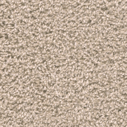 Dream Weaver Carpet