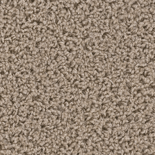 Dream Weaver Carpet