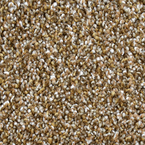 Dream Weaver Carpet