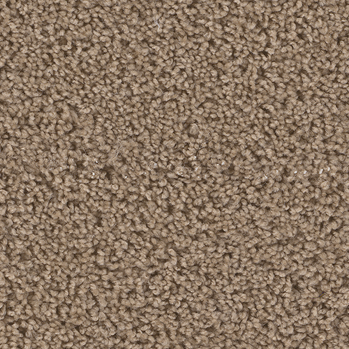 Dream Weaver Carpet