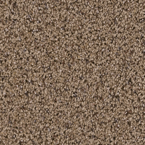 Dream Weaver Carpet