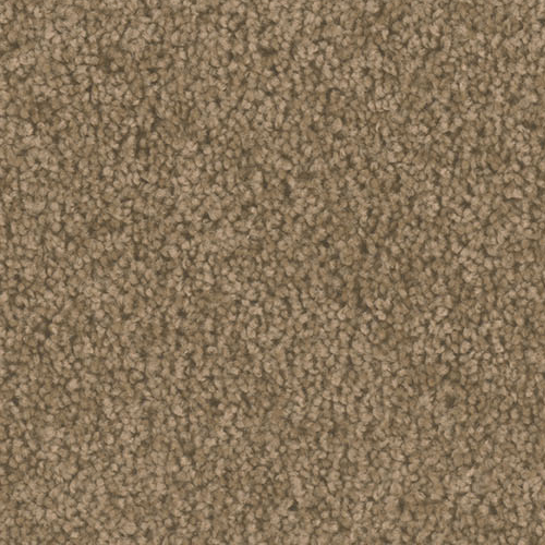 Dream Weaver Carpet