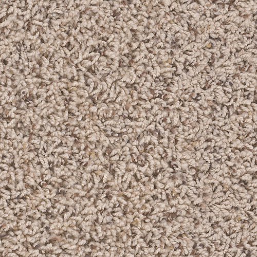 Dream Weaver Carpet