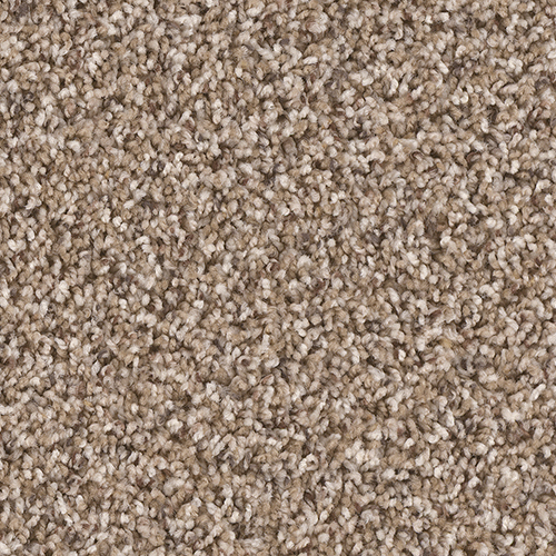 Dream Weaver Carpet