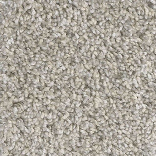 Dream Weaver Carpet