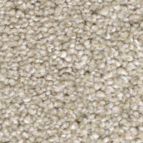 Dream Weaver Carpet