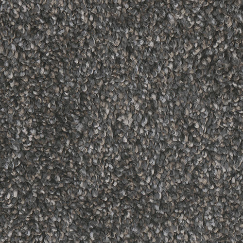 Dream Weaver Carpet