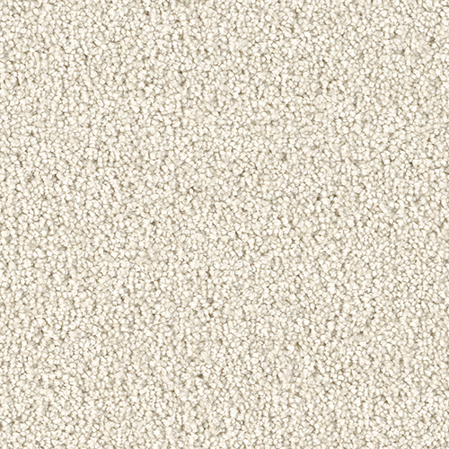 Dream Weaver Carpet