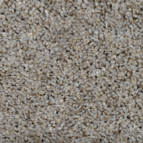 Dream Weaver Carpet