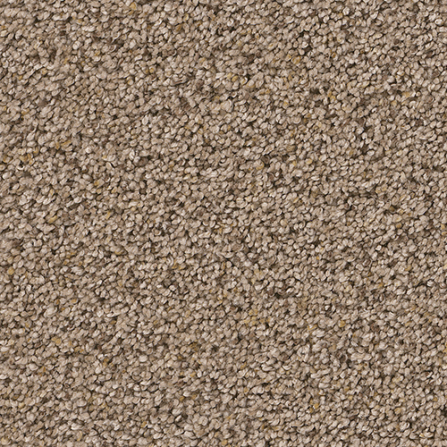 Dream Weaver Carpet