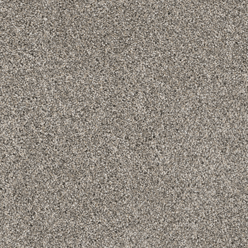 Dream Weaver Carpet