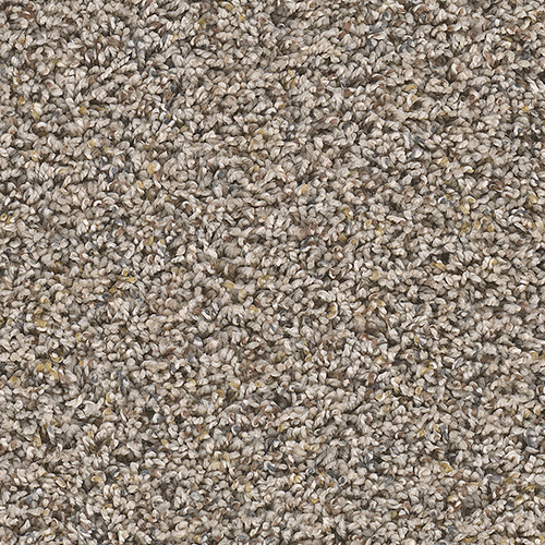 Dream Weaver Carpet
