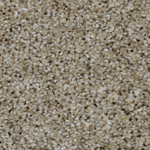 Dream Weaver Carpet
