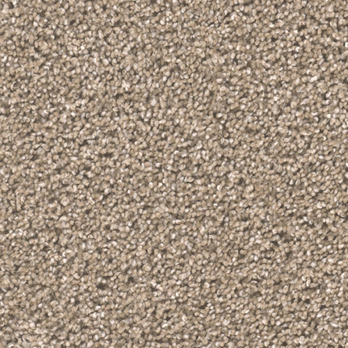 Dream Weaver Carpet