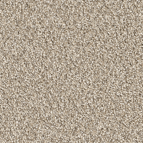 Dream Weaver Carpet