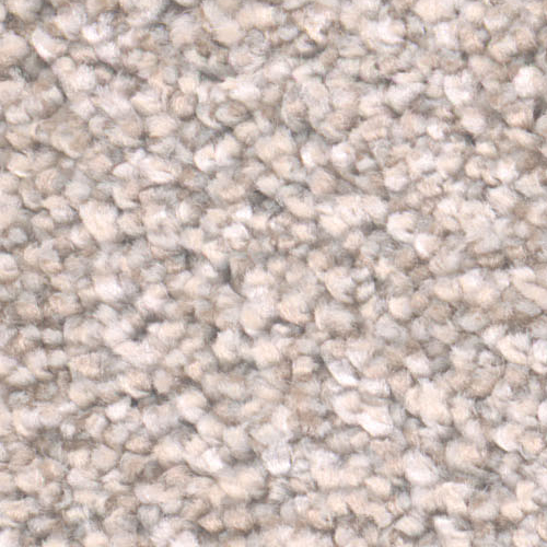 Dream Weaver Carpet
