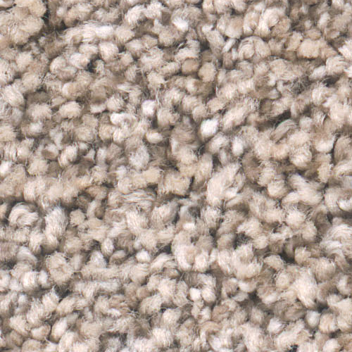 Dream Weaver Carpet