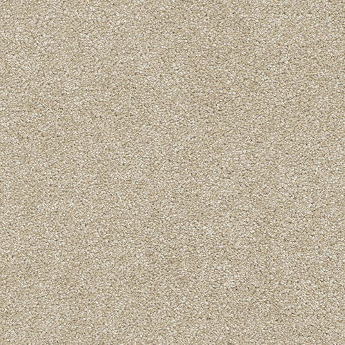 Dream Weaver Carpet