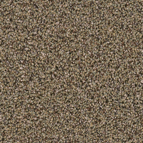 Dream Weaver Carpet
