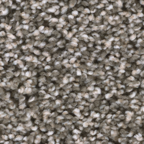 Dream Weaver Carpet