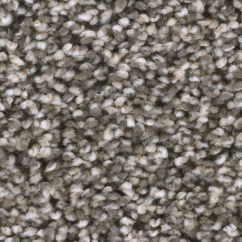 Dream Weaver Carpet