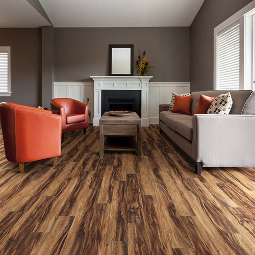 Happy Feet International Vinyl