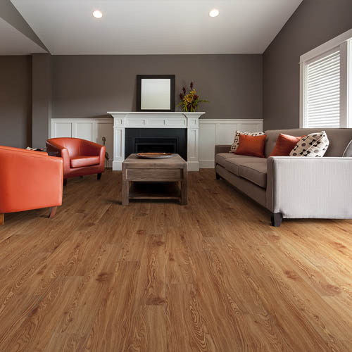 Happy Feet International Vinyl