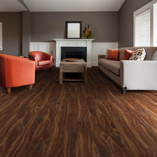 Happy Feet International Vinyl