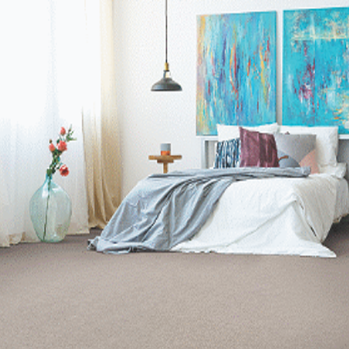 Mohawk Carpet